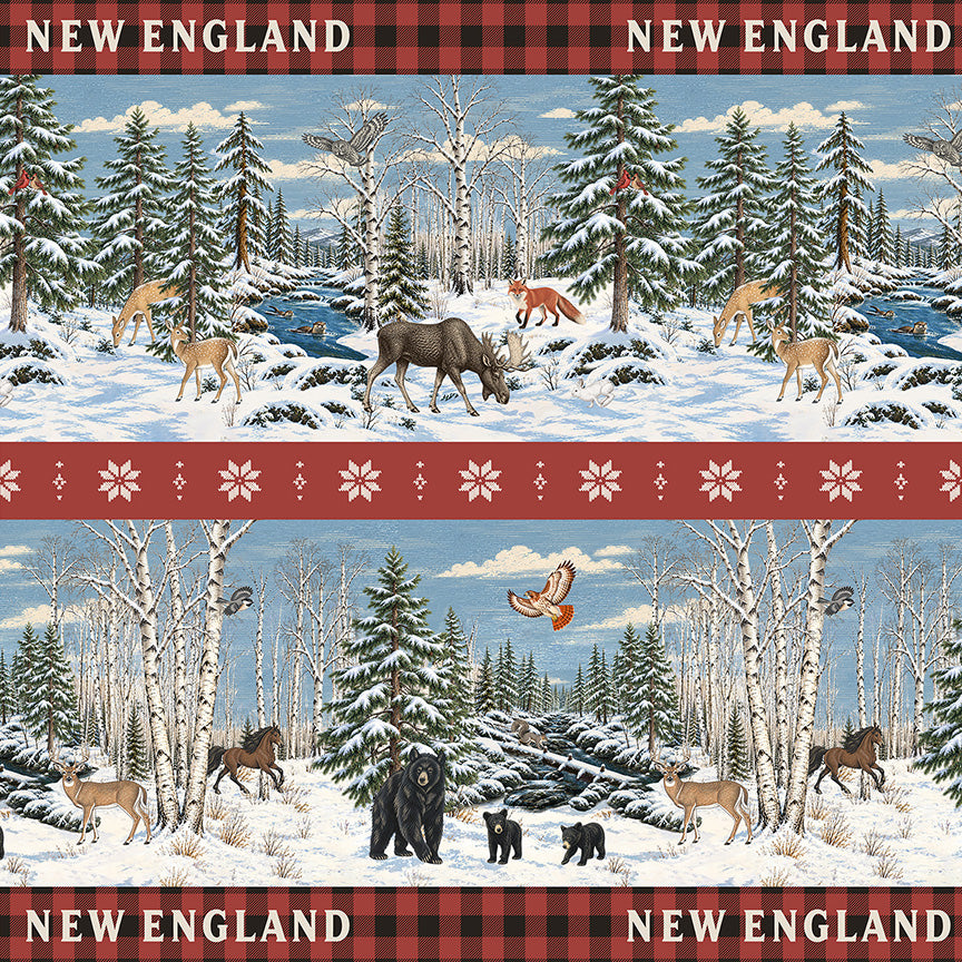 56162D-1-1-015Ud00000ITC8IIAX.jpg