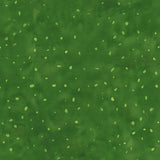 8115Q-10-2-015Ud00000Aovi7IAB.jpg