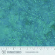 8115Q-11-1-015Ud00000AovlKIAR.jpg