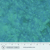 8115Q-11-1-015Ud00000AovlKIAR.jpg