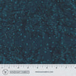 8115Q-13-1-015Ud00000AovrmIAB.jpg