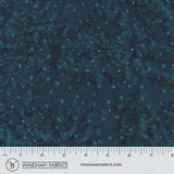 8115Q-13-1-015Ud00000AovrmIAB.jpg