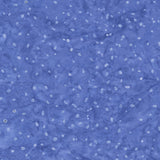 8115Q-18-2-015Ud00000AoqAaIAJ.jpg