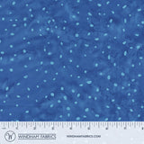 8115Q-19-1-015Ud00000Aow4gIAB.jpg