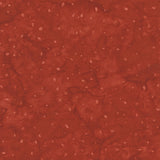 8115Q-2-2-015Ud00000AojYvIAJ.jpg