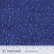 8115Q-20-1-015Ud00000AowvuIAB.jpg