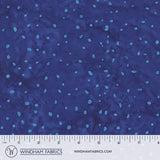 8115Q-20-1-015Ud00000AowvuIAB.jpg