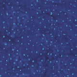 8115Q-20-2-015Ud00000AowvvIAB.jpg