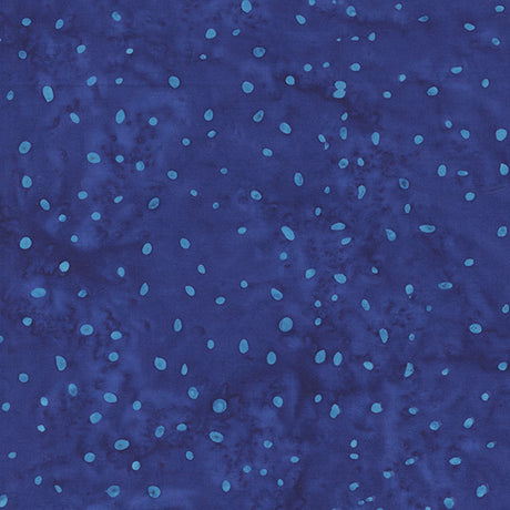 8115Q-20-2-015Ud00000AowvvIAB.jpg