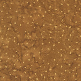 8115Q-22-2-015Ud00000Aowr5IAB.jpg