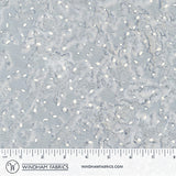 8115Q-24-1-015Ud00000AowizIAB.jpg