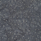 8115Q-25-2-015Ud00000AowPfIAJ.jpg