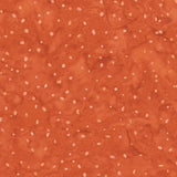 8115Q-3-2-015Ud00000Aoy3HIAR.jpg