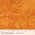 8115Q-4-1-015Ud00000Aoy02IAB.jpg