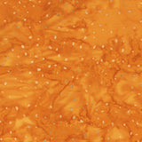 8115Q-4-2-015Ud00000Aoy03IAB.jpg