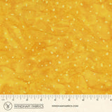 8115Q-5-1-015Ud00000AoxjuIAB.jpg