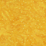 8115Q-5-2-015Ud00000AoxjvIAB.jpg
