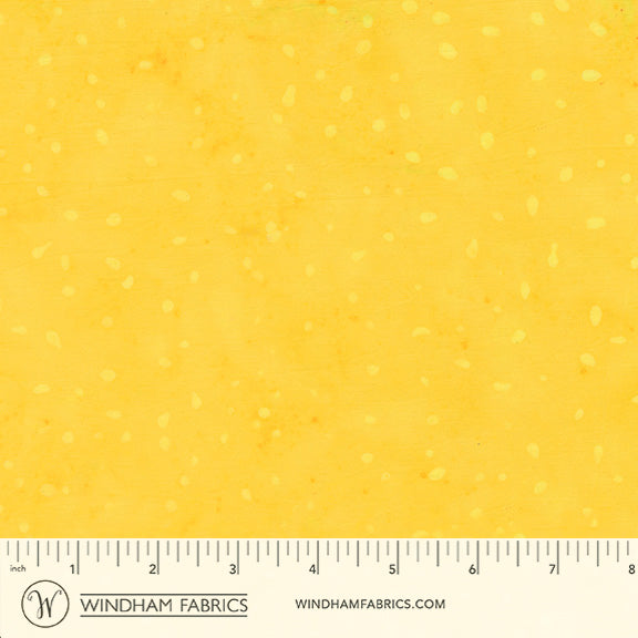 8115Q-6-1-015Ud00000AoxggIAB.jpg