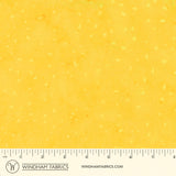 8115Q-6-1-015Ud00000AoxggIAB.jpg