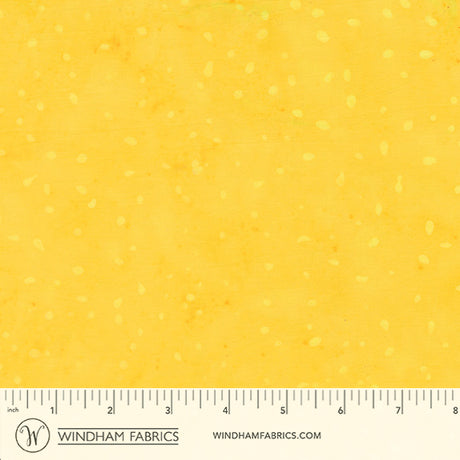 8115Q-6-1-015Ud00000AoxggIAB.jpg