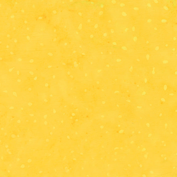 8115Q-6-2-015Ud00000AoxghIAB.jpg