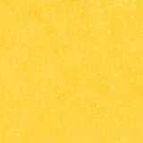 8115Q-6-2-015Ud00000AoxghIAB.jpg