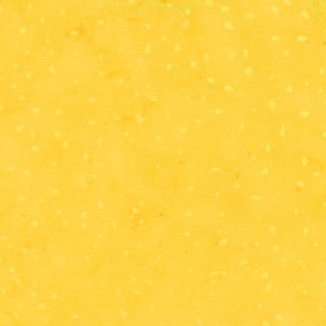 8115Q-6-2-015Ud00000AoxghIAB.jpg