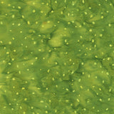 8115Q-9-2-015Ud00000AoyOFIAZ.jpg