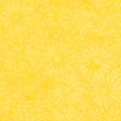 8129Q-1-1-015Ud00000GQofuIAD.jpg