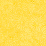 8129Q-1-1-015Ud00000GQofuIAD.jpg