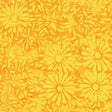 8129Q-2-1-015Ud00000GQlF0IAL.jpg