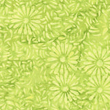 8129Q-20-1-015Ud00000GQlGcIAL.jpg