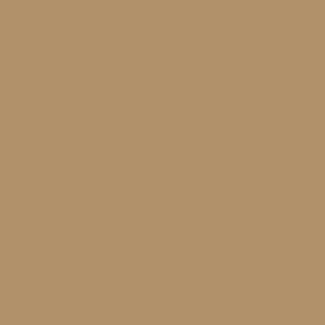 8300-CAMEL-1-0155Y000005jBg0QAE.jpg