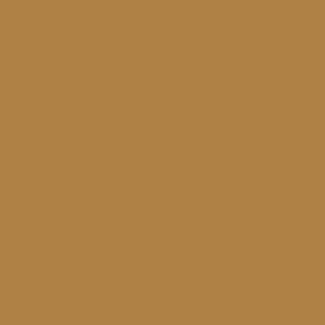 8500-BRONZE-1-0155Y000005jBfqQAE.jpg