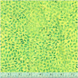 860Q-8-1-015Ud000008DhKIIA0.jpg