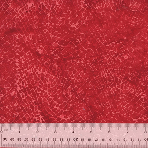 865Q-1-1-0155Y000004eqlsQAA.jpg