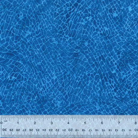 865Q-10-1-0155Y000004eqlxQAA.jpg
