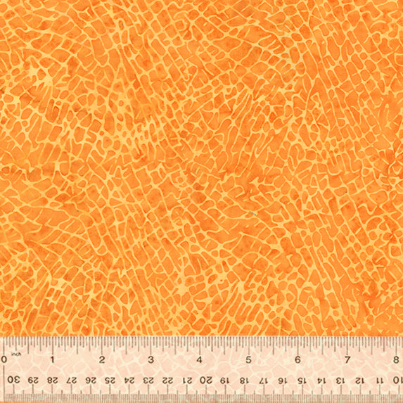 865Q-3-1-0155Y000004eqn5QAA.jpg