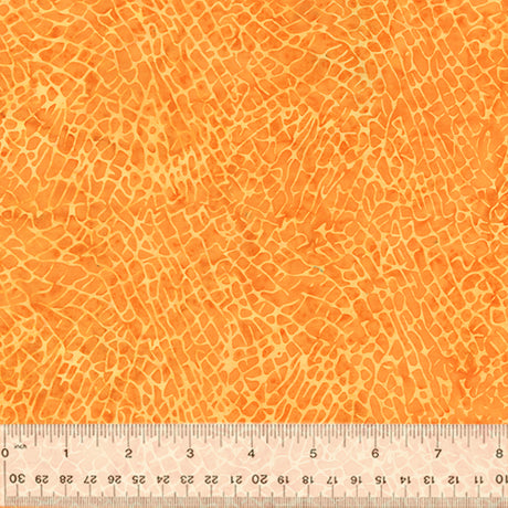 865Q-3-1-0155Y000004eqn5QAA.jpg