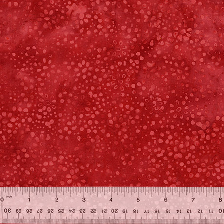 878Q-1-1-015Ud0000007uK2IAI.jpg