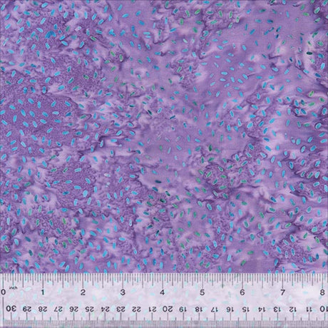 896Q-15-1-015Ud000004XppSIAS.jpg