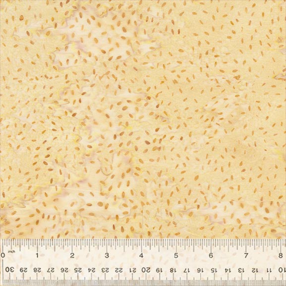 896Q-18-1-015Ud000004XqDeIAK.jpg