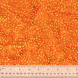 896Q-2-1-015Ud000004Xn1HIAS.jpg