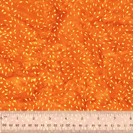 896Q-2-1-015Ud000004Xn1HIAS.jpg