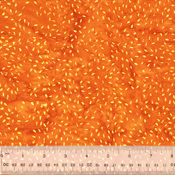 896Q-2-1-015Ud000004Xn1HIAS.jpg