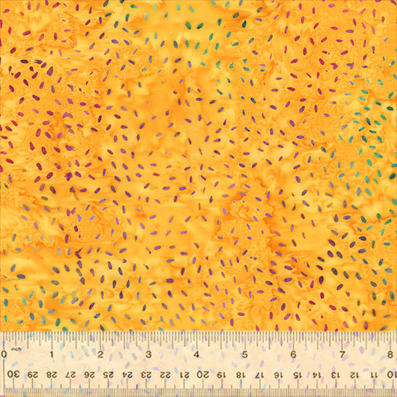 896Q-3-1-015Ud000004XpEMIA0.jpg