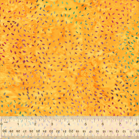 896Q-3-1-015Ud000004XpEMIA0.jpg