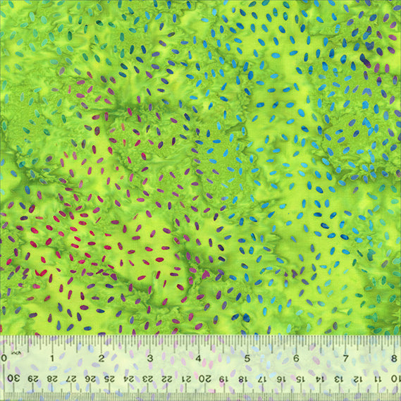 896Q-5-1-015Ud000004XpHaIAK.jpg
