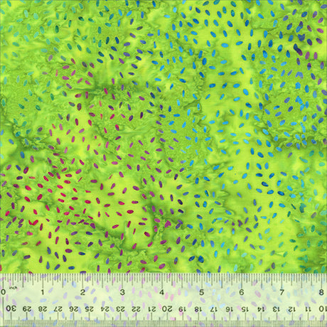 896Q-5-1-015Ud000004XpHaIAK.jpg