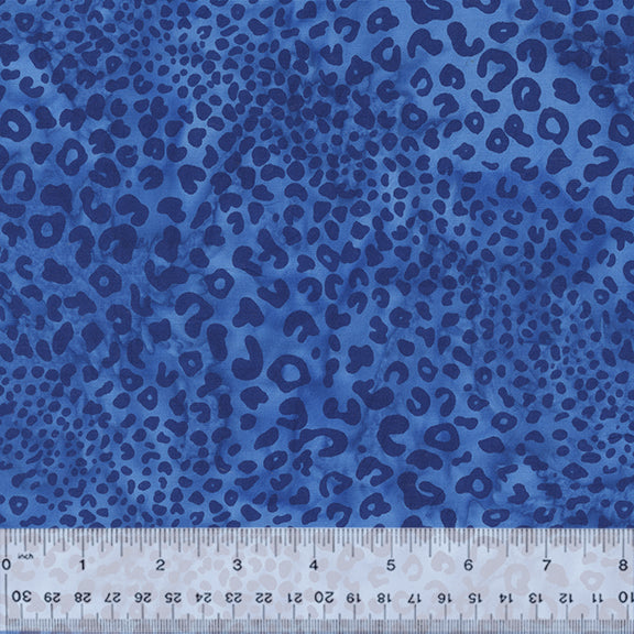 9206Q-4-1-015Ud000004XsSNIA0.jpg